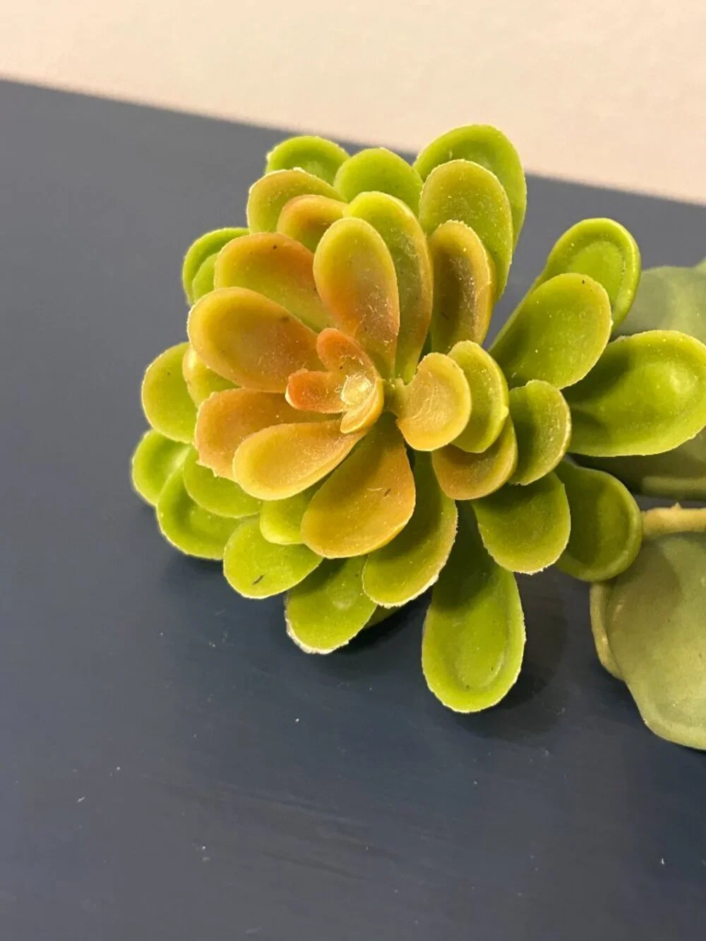 Bundle of Faux Succulents